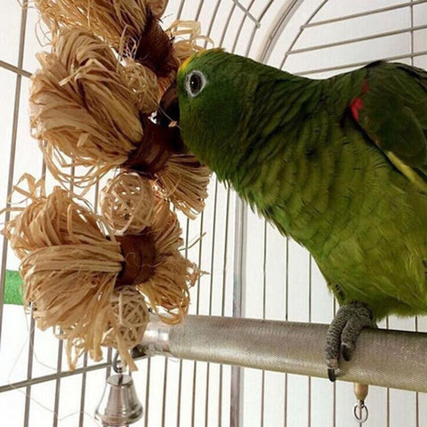 Lovely Pet Conure Cockatiel Parakeet Chewing Toy Parrot Bird Bites Swing Loofah Vine Balls Cages Toys