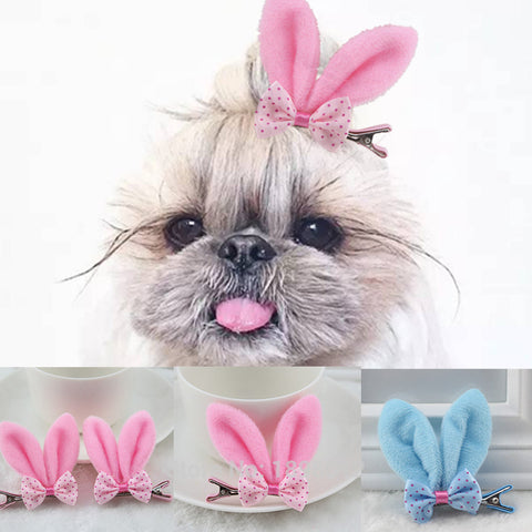 6 Pcs/lot Pet Dog Grooming Accessories Clips For Dogs Cats Clipper Dog Hairpin Pink Blue Rabbit Ear Dog Hair Bows Alloy Clips
