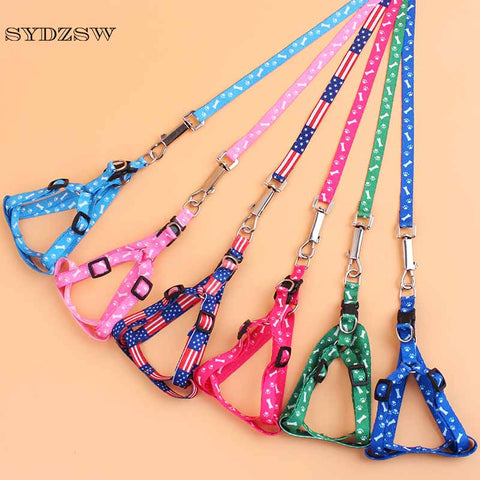 Nylon Small Dog Cat Collar and Leash 1.0cm Width Pet Harness Leads for Puppy Dogs Cats Cheap Pet Supplies Chihuahua Product