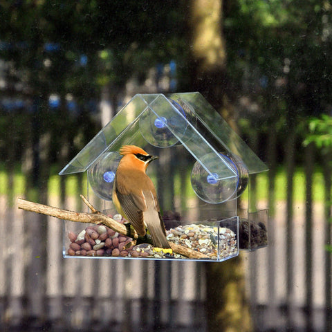 Window Bird Feeders Hot Sale Clear Glass Window Viewing Bird Feed Hotel Table Seed Peanut Hanging Suction For Pet Bird